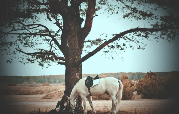 Картинка дерево, лошадь, Девушка