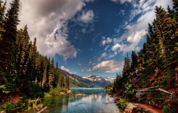 Лес, горы, река