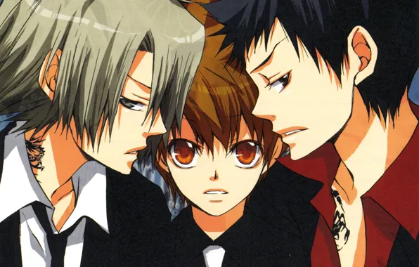 Фон, парни, трио, мафия, Katekyo Hitman Reborn!, Учитель мафиози Реборн