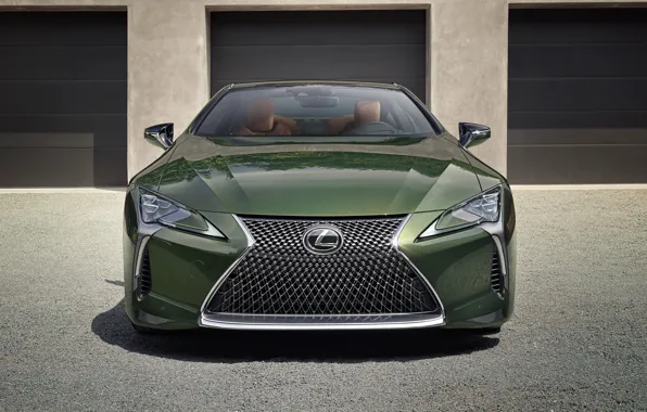 Lexus, вид сзади, Limited Edition, LC 500, 2019