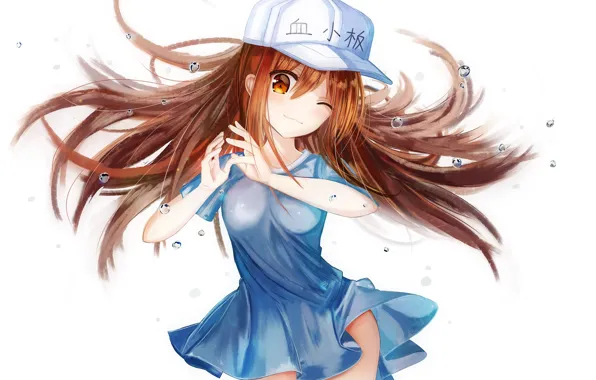 Dedeko, hataraku saibou, platelet