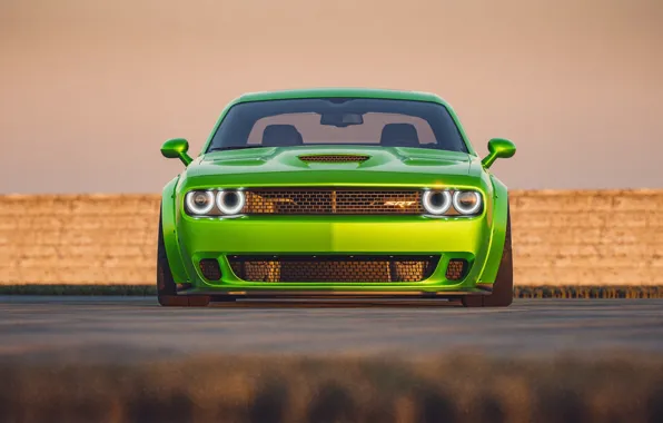 Авто, Зеленый, Машина, Car, Dodge Challenger, SRT, Маслкар, Transport & Vehicles