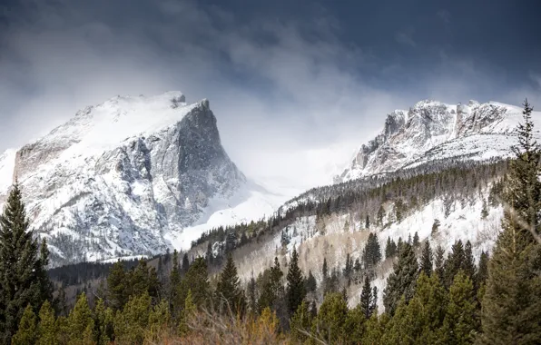 Зима, лес, снег, горы, природа, Hallett Peak