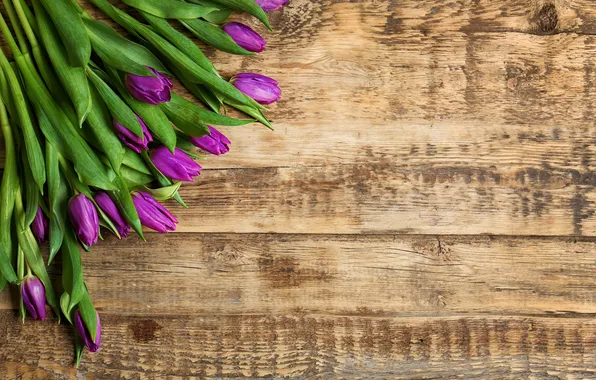 Картинка цветы, букет, тюльпаны, wood, flowers, tulips, spring, purple