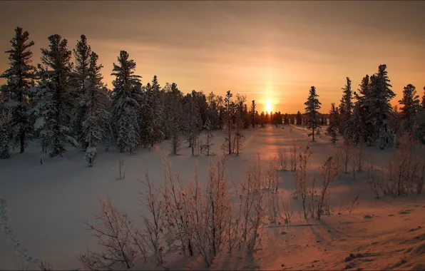 Картинка зима, пейзаж, закат, природа
