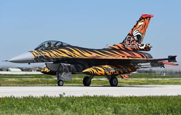 Истребитель, Fighting Falcon, F-16C, «Файтинг Фалкон»