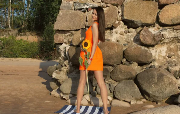 Girl, grass, long hair, dress, legs, trees, beautiful, pretty