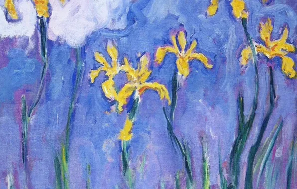 Цветы, картина, Клод Моне, Желтые Ирисы с Розовым Облаком