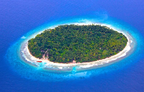 Картинка океан, остров, Мальдивы, риф, Maldives