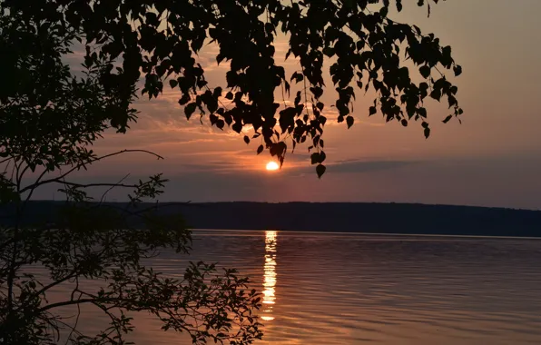 Закат, Небо, Вода, Природа, Листья, Nature, Sky, Water