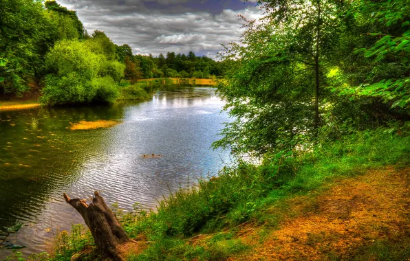 Зелень, деревья, озеро, парк, Англия, Nostell