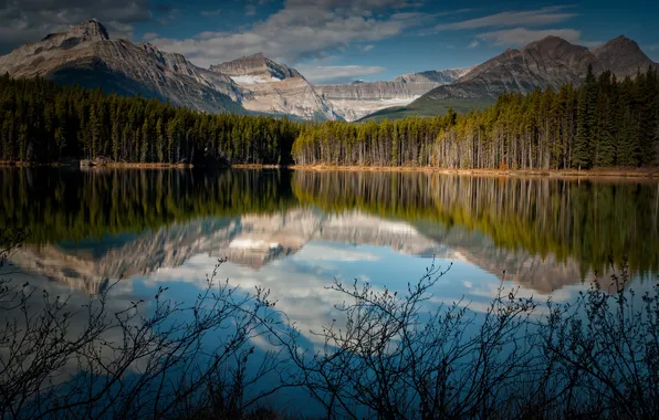 Картинка лес, горы, озеро, отражение, Канада, кусты