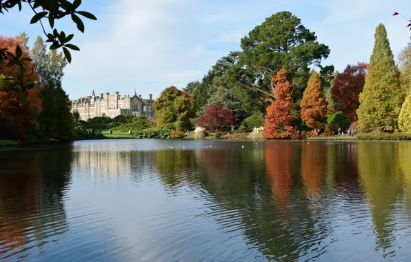 Картинка осень, озеро, замок, Англия, colors, autumn, lake, England