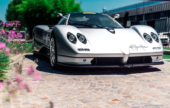 Supercar, automobile, Pagani Zonda