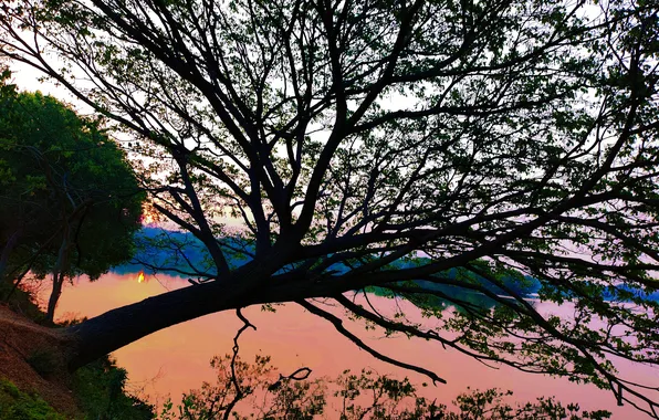 Sun, Water, Sunrise, Dawn, Morning, Lake, Trees, Reflection