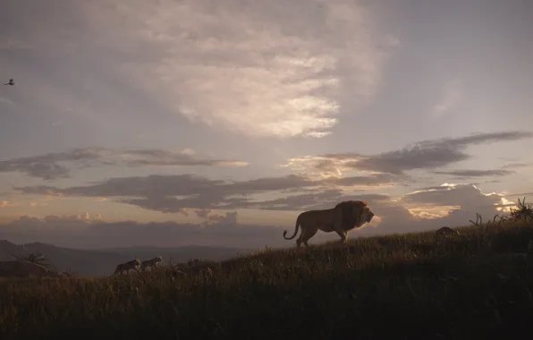 Пейзаж, лев, львята, Король Лев, The Lion King
