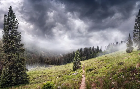 Пейзаж, горы, туман