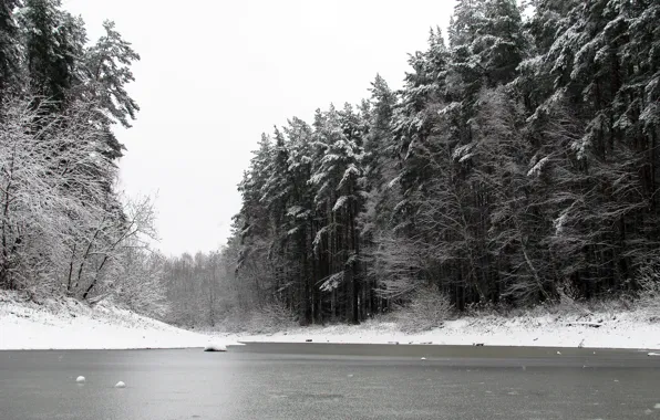 Картинка зима, лес, снег, природа, пруд, сосны