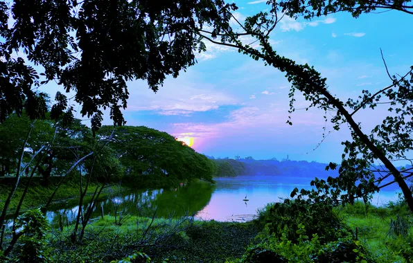 Sun, Water, Sunrise, Dawn, Morning, Lake, Trees, Reflection