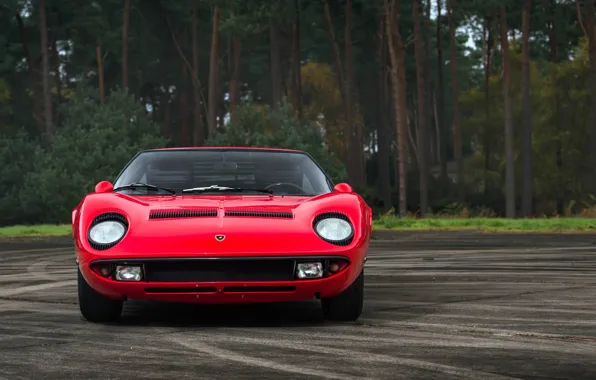 Красный, Авто, Lamborghini, Ретро, Машина, Ресницы, 1969, Фары