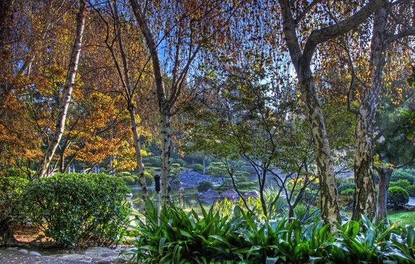 Осень, деревья, пруд, парк, камни, HDR, Калифорния, США