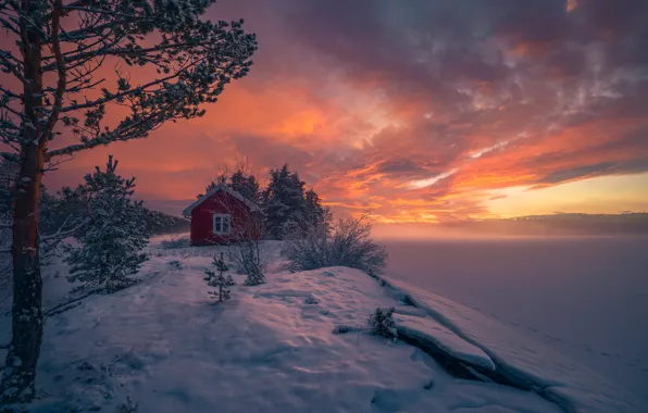 Зима, снег, деревья, закат, Норвегия, домик, Norway, Рингерике