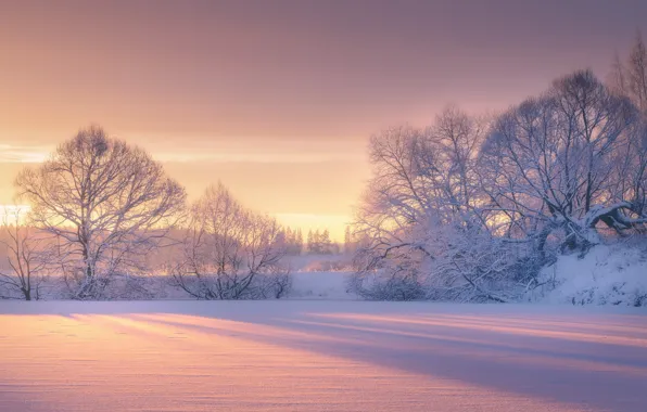 Картинка зима, снег, деревья, рассвет, утро, мороз, Роман Мурашов