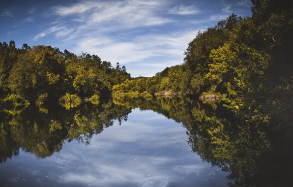 River, sky, trees, reflection