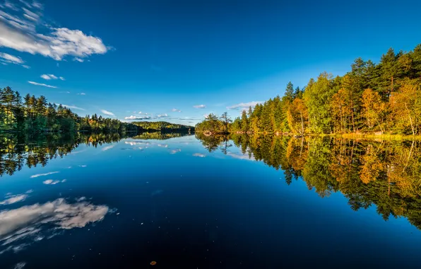 Осень, лес, озеро, отражение, Норвегия, Norway, Buskerud, Бускеруд