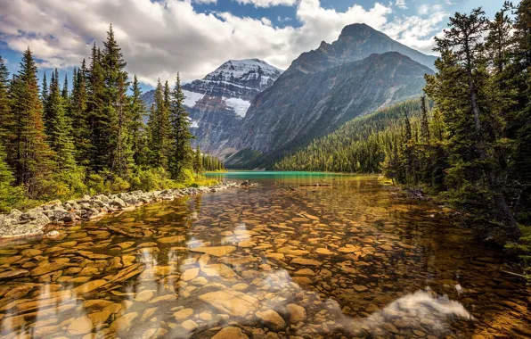 Картинка лес, деревья, горы, озеро, Канада, Альберта, Alberta, Canada
