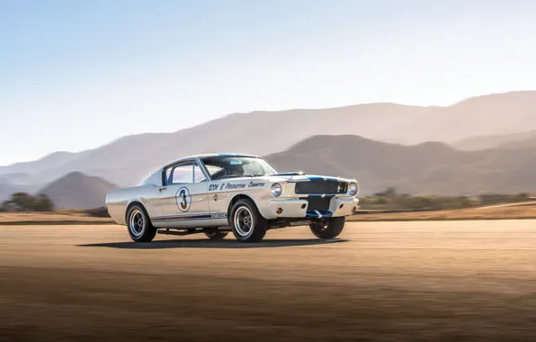 Mustang, Ford, Shelby, 1965, GT350, Shelby GT350