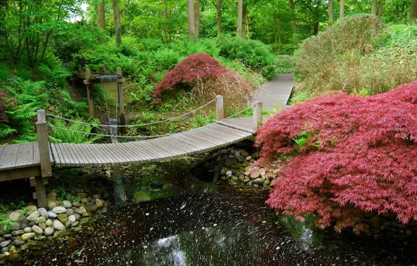 Картинка лето, вода, парк, камни, green, Япония, сад, дорожка