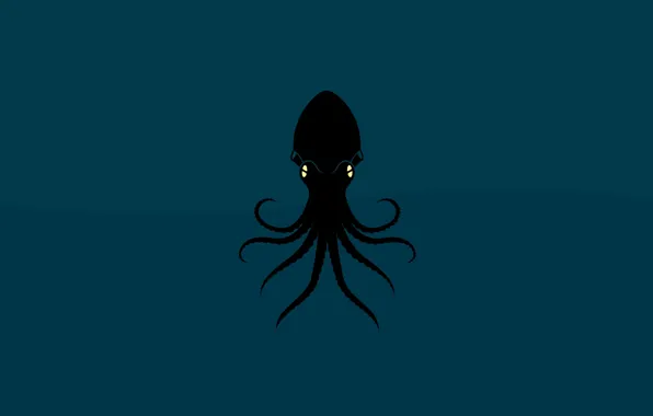 Картинка животное, осьминог, Octopus