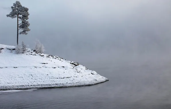 Иней, вода, снег, туман, река, остров, Зима, сосна