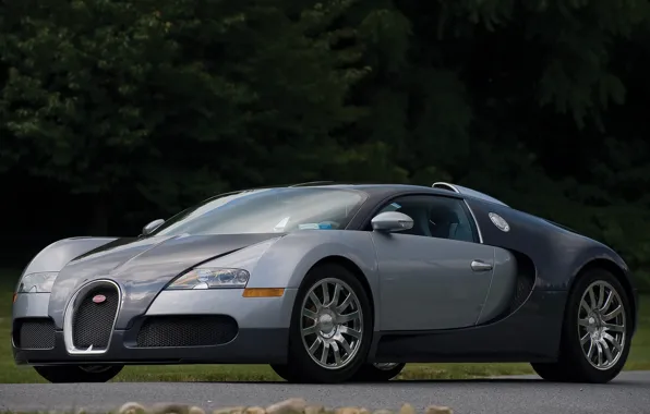 Картинка veyron, bugatti, gray