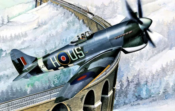 British, Tempest, Royal Air Force, WWII, Hawker Tempest Mk.V, Fighter aircraft
