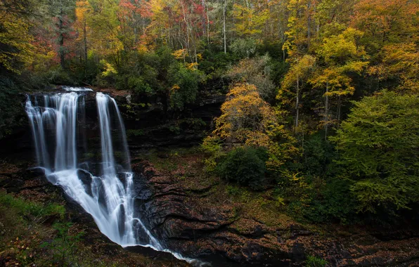Картинка осень, лес, водопад