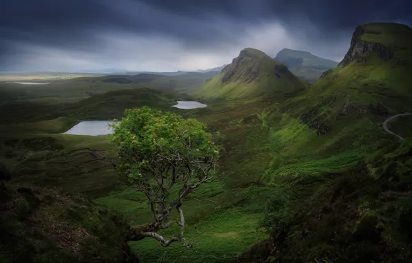 Картинка камни, дерево, скалы, остров, гора, Шотландия, Скай