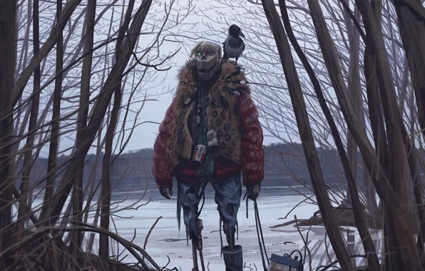 Берег, существо, ворона, vagrant crow