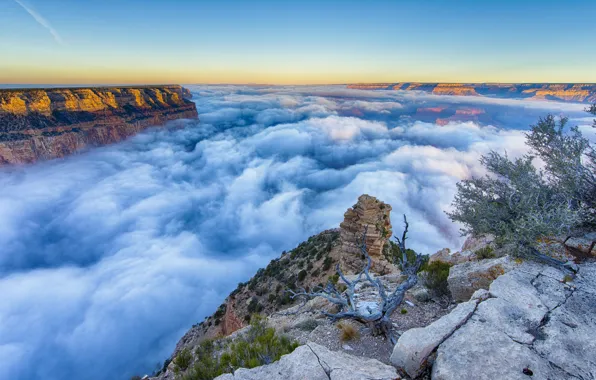Туман, восход, утро, Аризона, Гранд каньон