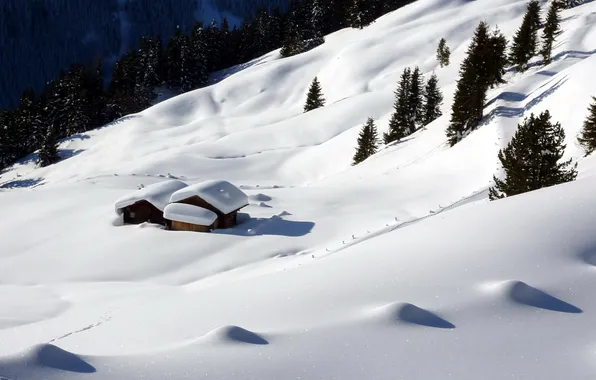 Картинка зима, снег, горы, природа, дом, склон