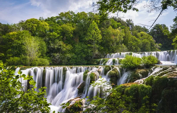 Картинка лес, лето, деревья, водопад, каскад, Хорватия, Croatia, Krka National Park