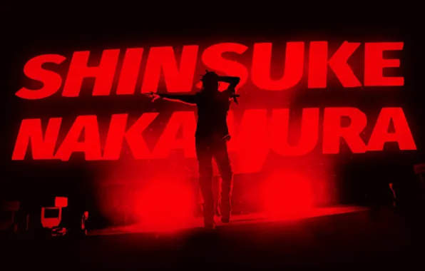 Wwe, wrestling, shinsuke nakamura, nakamura shinsuke, king of strongstyle, nxt