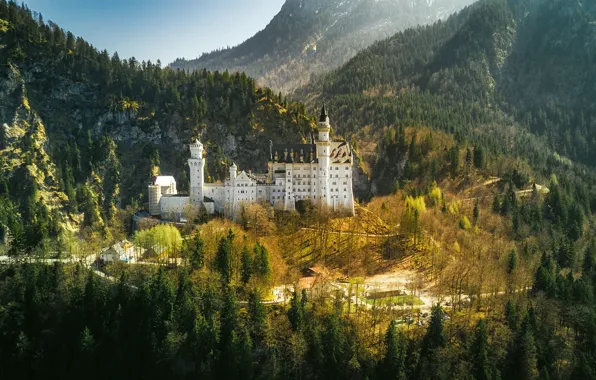 Лес, солнце, деревья, горы, замок, скалы, Германия, Neuschwanstein