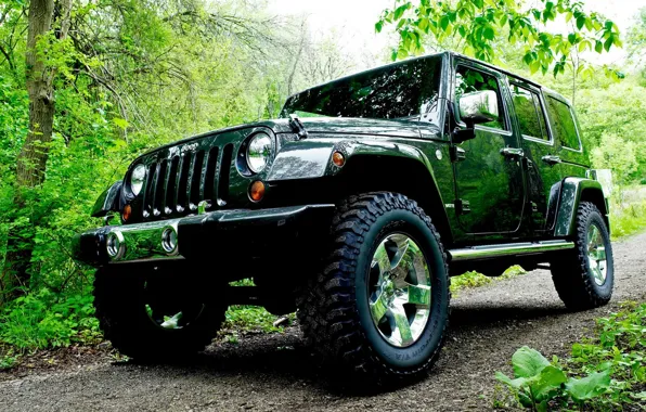 Дорога, лес, Джип, автомобиль, Wrangler, Jeep, деревья., повышенной