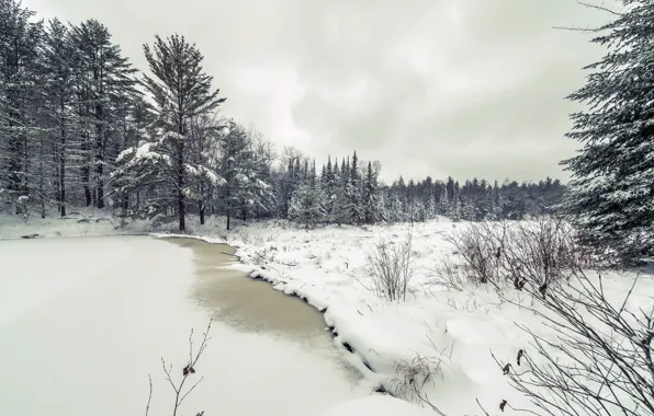 Картинка зима, лес, снег, природа
