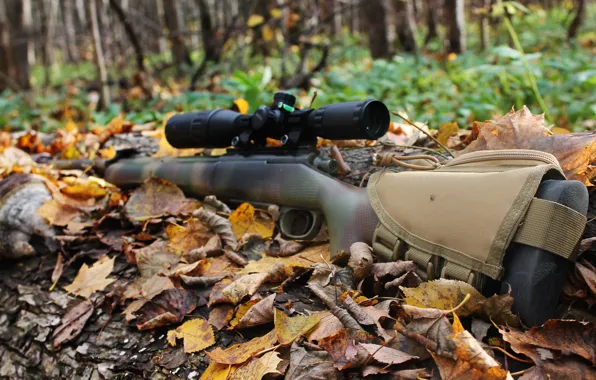 Картинка октябрь, снайперская винтовка, sniper rifle, 2017