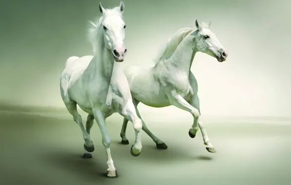 Ultapanorama, pastel colors, white horses