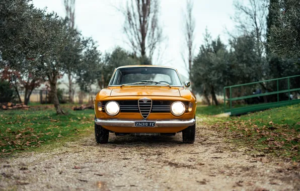 Картинка Alfa Romeo, 1967, Giulia, Alfa Romeo Giulia Sprint GT