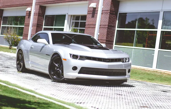 Картинка Chevrolet, Camaro, 2013, RS